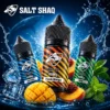 鯊克菸油 SALT SHAQ 40mg 尼古丁鹽主圖 鯊克菸油 SALT SHAQ 40mg 尼古丁鹽主圖,展示 Peach Mango、Ice-lolly、Mint 三款口味